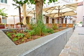 Wopfinger Sichtbeton am Allerheiligenplatz in Wiener Neustadt