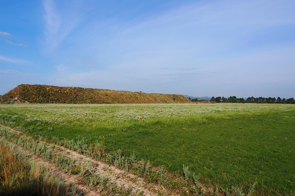 bestehende biologische Landwirtschaft und Triel-Lebensraum