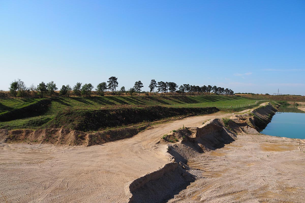 Blick aus dem Trockenabbau in Richtung Windschutzgürtel und Nassbaggerung